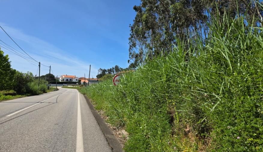 Junta de Freguesia solicita interven&ccedil;&atilde;o na EN242 &agrave; Infraestruturas de Portugal