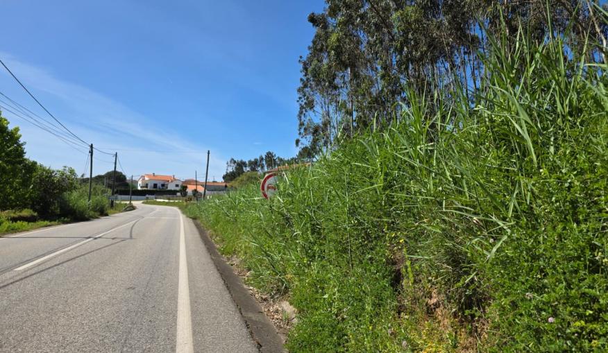 Junta de Freguesia solicita interven&ccedil;&atilde;o na EN242 &agrave; Infraestruturas de Portugal