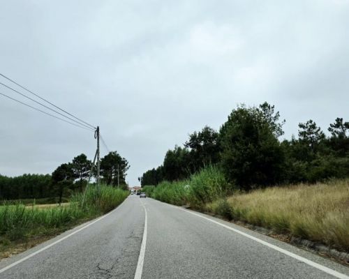 Junta de Freguesia exige solu&ccedil;&atilde;o para a manuten&ccedil;&atilde;o da EN242