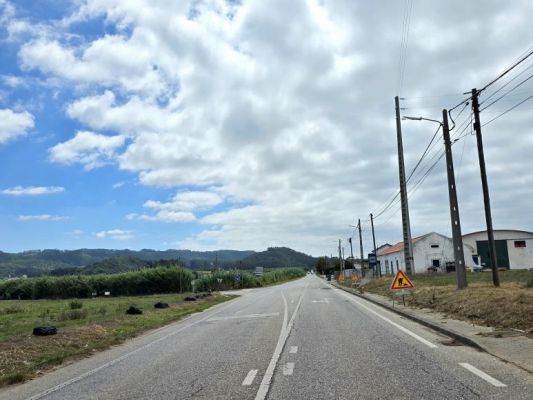 Trabalhos de manuten&ccedil;&atilde;o das faixas de gest&atilde;o de combust&iacute;vel em curso na EN242